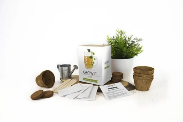 Outlet Odlingskit Öl Gift Republic Ltd. Kit För Växt- & Örtplantering