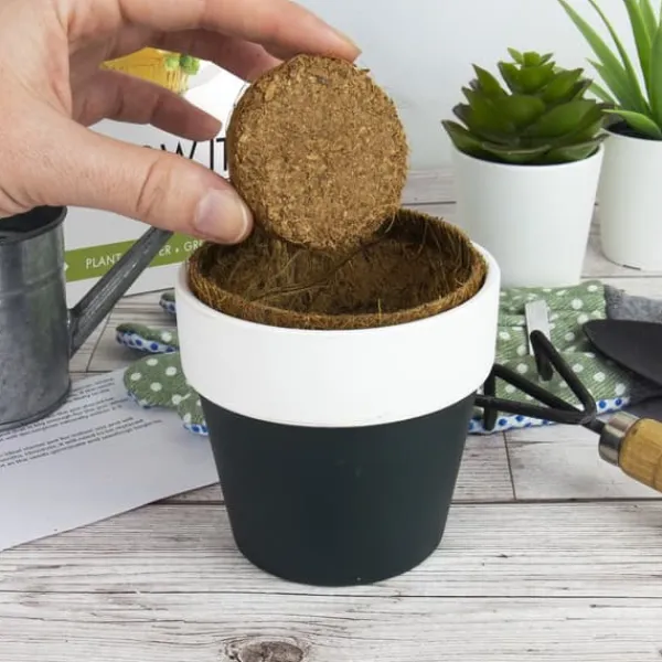 Outlet Odlingskit Öl Gift Republic Ltd. Kit För Växt- & Örtplantering