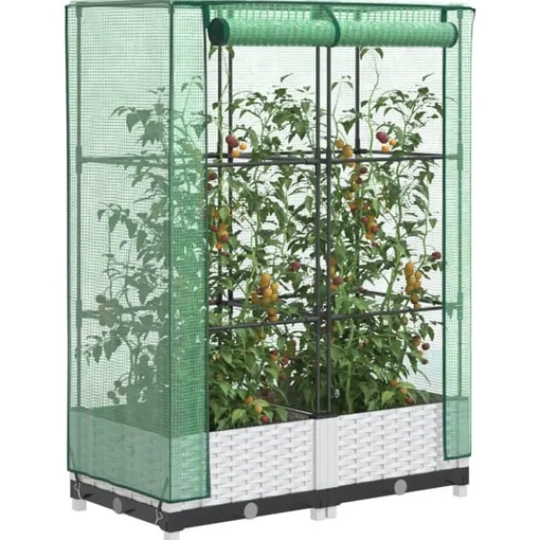 Best Odlingslåda med växthusöverdrag rottinglook 80x40x123 cm Växthus