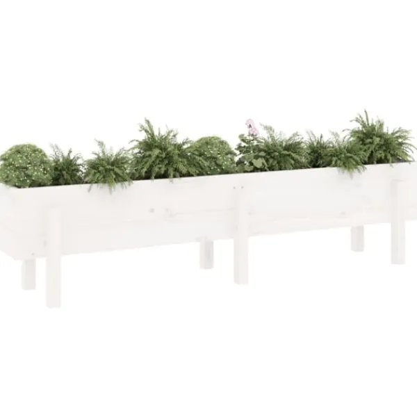 Outlet Odlingslåda på ben 160x30x38 cm vit massiv furu Planteringsbänkar