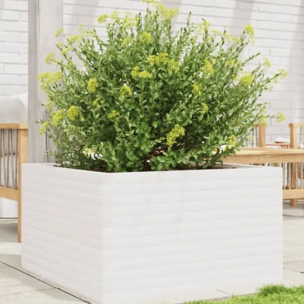 vidaXL Odlingslåda vit 80x80x45,5 cm massiv furu