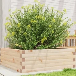 vidaXL Odlingslåda 70x70x23 cm massivt furuträ