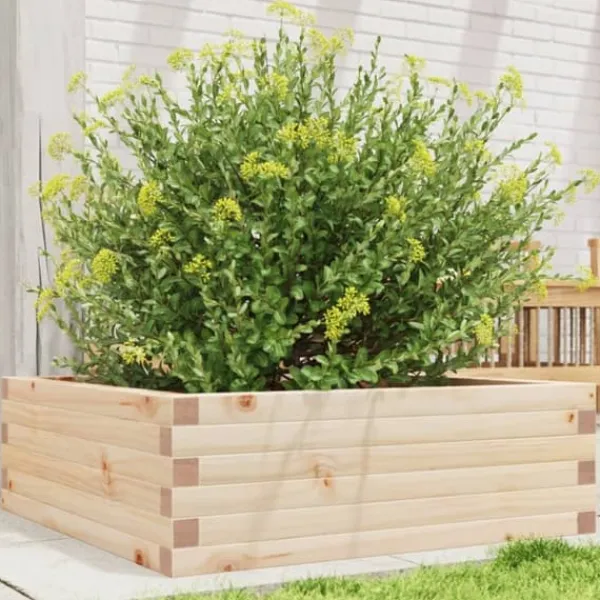 vidaXL Odlingslåda 70x70x23 cm massivt furuträ