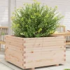 vidaXL Odlingslåda 80x80x49,5 cm massivt furuträ