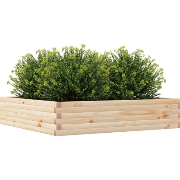 vidaXL Odlingslåda 110x110x23 cm massivt furuträ