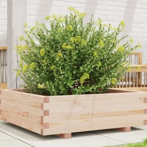 vidaXL Odlingslåda 80x80x26,5 cm massivt furuträ