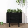 vidaXL Odlingslåda 62x50x57 cm svart massiv furu