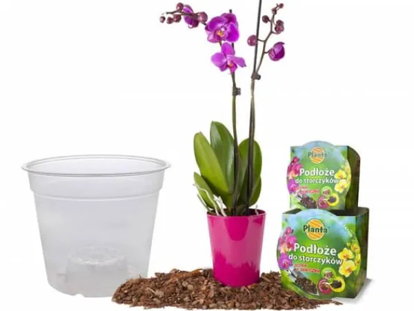 Clearance Orkidéjordset med kruka 1,1 L Kit För Växt- & Örtplantering
