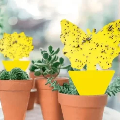 12-Pack Insektsfällor för Rabatt / Växter / Plantor