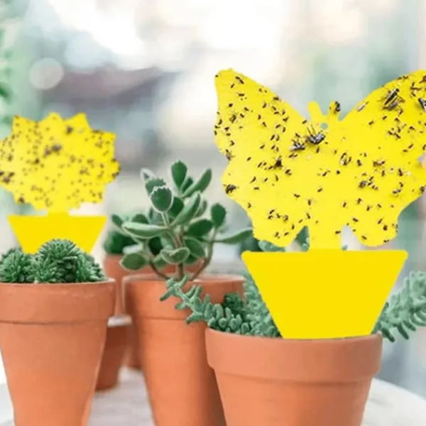 12-Pack Insektsfällor för Rabatt / Växter / Plantor