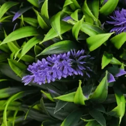Sale 2-pack konstgjord lavendel 70 cm med kruka, UV-skydd, för hem & trädgård Trädgårdsprydnader