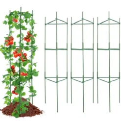 6-pack tomatburar, 48
