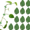 Paket med 50 självhäftande växthållare Plantkopplingsklämma Klätterväxter Fixering av väggväxtklämmor för stödplantering