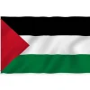 Palestina Flagga - 150 x 90 cm