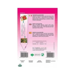 PAPAVERO GLACUM RED frö frön blommor