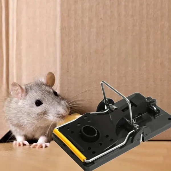 4Pcs Professional Mouse Traps Mousetrap Strong Easy Catcher Control Reusable