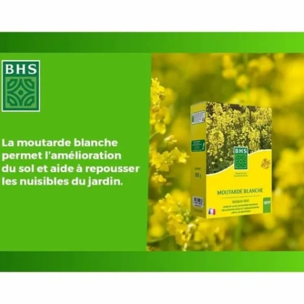 Clearance Plant fertiliser BHS 500 g Gödningsmedel
