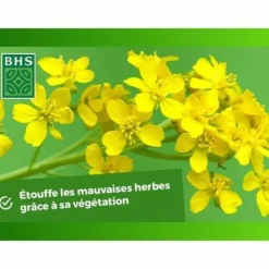 Clearance Plant fertiliser BHS 500 g Gödningsmedel