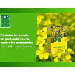 Clearance Plant fertiliser BHS 500 g Gödningsmedel