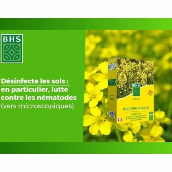 Clearance Plant fertiliser BHS 500 g Gödningsmedel