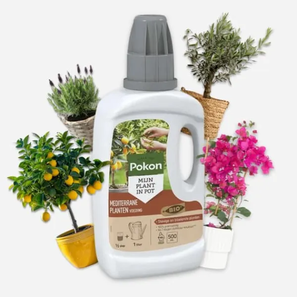Hot Pokon - Flytande gödselmedel för medelhavsväxter - 500 ml Gödningsmedel