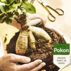 Online Pokon flytande växtmat - Bonsai - 250ml Gödningsmedel
