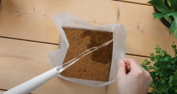 Pokon krukjord Kompakt - Kokosjord - Inomhus och utomhus - 10 liter
