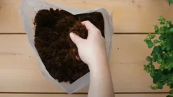 Pokon krukjord Kompakt - Kokosjord - Inomhus och utomhus - 10 liter