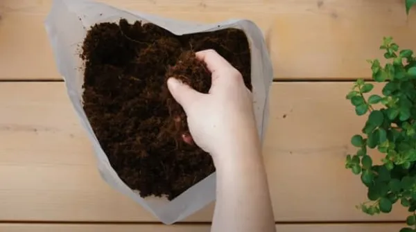Pokon krukjord Kompakt - Kokosjord - Inomhus och utomhus - 10 liter