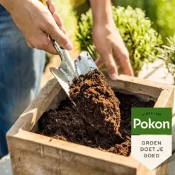 Best Pokon krukjord Kompakt - Kokosjord - Inomhus och utomhus - 50 liter Jord & Sand