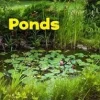 Hot Ponds Fontäner & Dammar