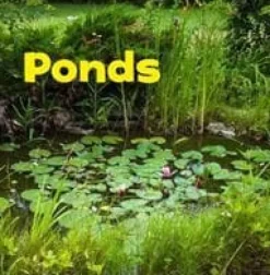 Hot Ponds Fontäner & Dammar
