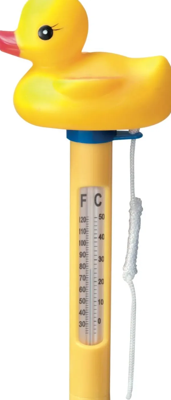 Pooltermometer Anka