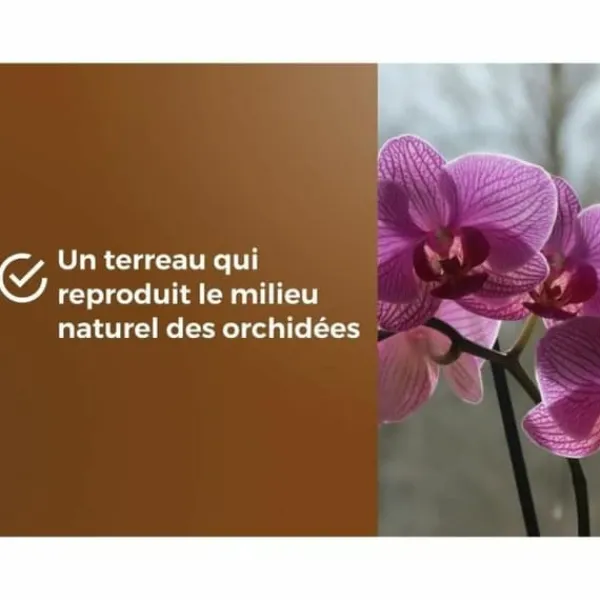 Outlet Potting compost OR BRUN 6 L Jord & Sand