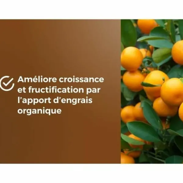 Potting compost OR BRUN 6 L Citrus
