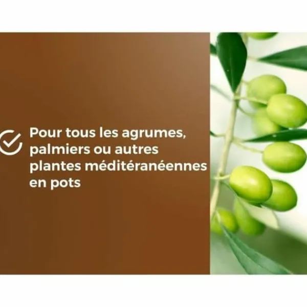 Potting compost OR BRUN 6 L Citrus