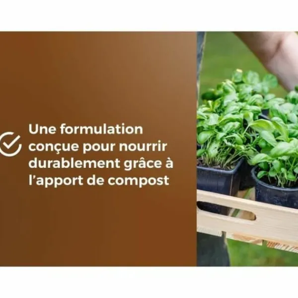 Best Potting compost OR BRUN 6 L Jord & Sand