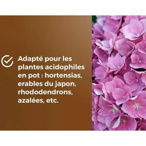 Sale Potting compost OR BRUN 6 L Jord & Sand