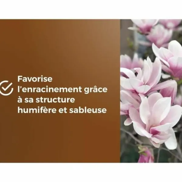 Sale Potting compost OR BRUN 6 L Jord & Sand