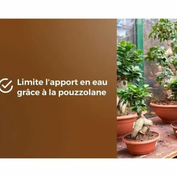 Hot Potting compost OR BRUN BROWN GOLD 6 L Jord & Sand
