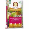 Online Potting compost OR BRUN OBRTGER35N 35 L Jord & Sand