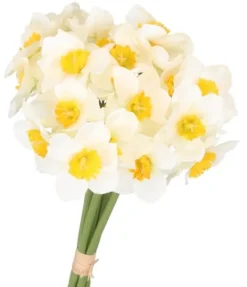 New PÅSKLILJEBUKETT PÅSKLILJEBLOMMOR 41 CM MED 6 GRENAR Snittblommor