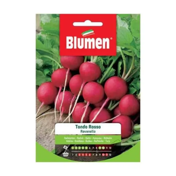 Best Röda runda rädisfrön Blumen Fröer & Lökar