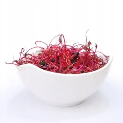Clearance Rödbeta Bull's Blood 250g - frön för groning Fröer & Lökar