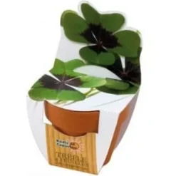 Online RÄDISOR OCH NATURA - 4-blad klöver kit Kit För Växt- & Örtplantering