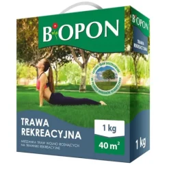 REKREATIONSGRÄS 1 KG - BR BIO-1112