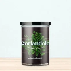 RESETA, KÖKENS TRÄDGÅRD - KORIANDER, HEMMA, GÅVOSIDÉER