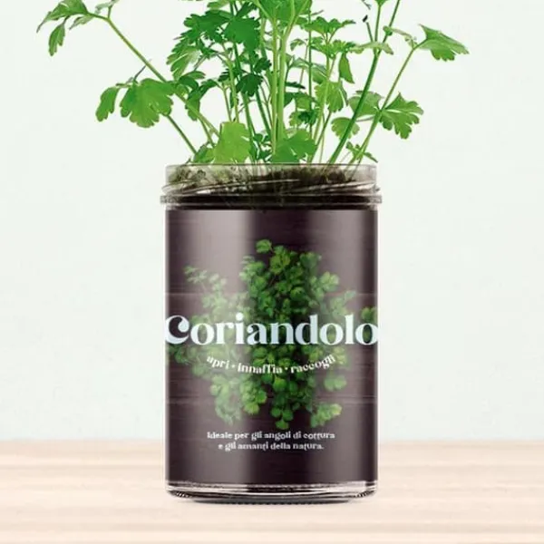 RESETA, KÖKENS TRÄDGÅRD - KORIANDER, HEMMA, GÅVOSIDÉER