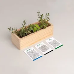 Discount RESETA, MINI ORTO - MEDITERRANEO, HUS, GÅVOFÖRSLAG Kit För Växt- & Örtplantering