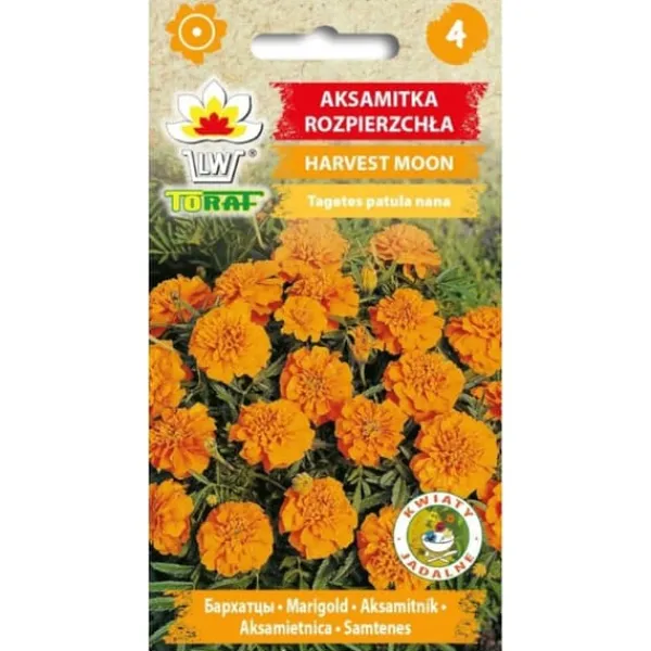Sale Ringblomma, apelsin, HARVEST MOON, 1 g Fröer & Lökar